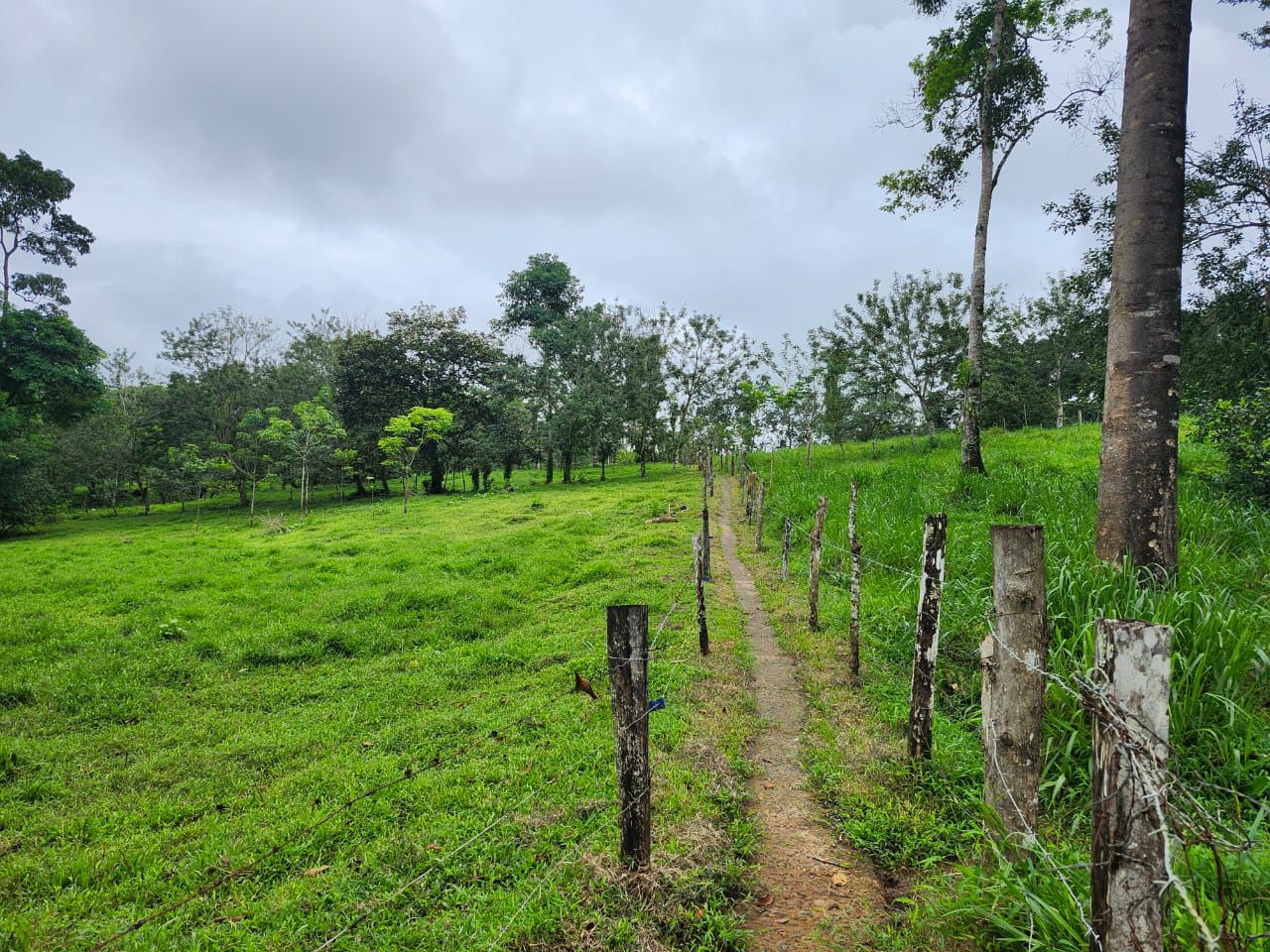 PRODUCTIVE FARM FOR SALE